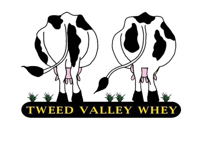 TVWFC Logo no bg3 TVWFC Logo no bg3