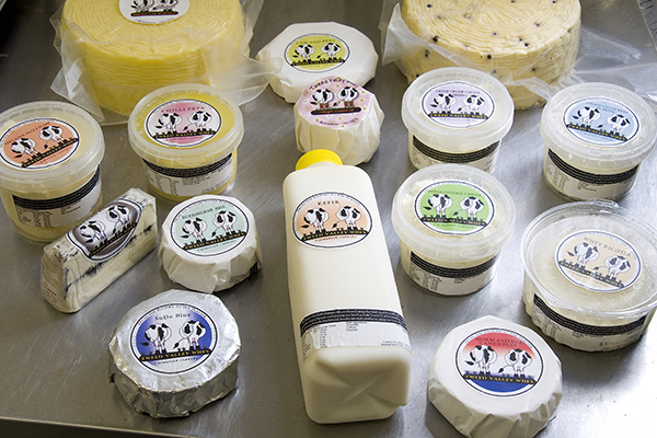 cheese table cheese table